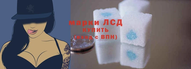стаф Белокуриха