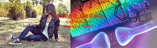стаф Белокуриха