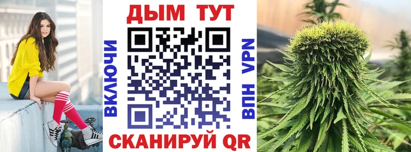 Бошки марихуана Ganja  где купить наркотик  Магас 